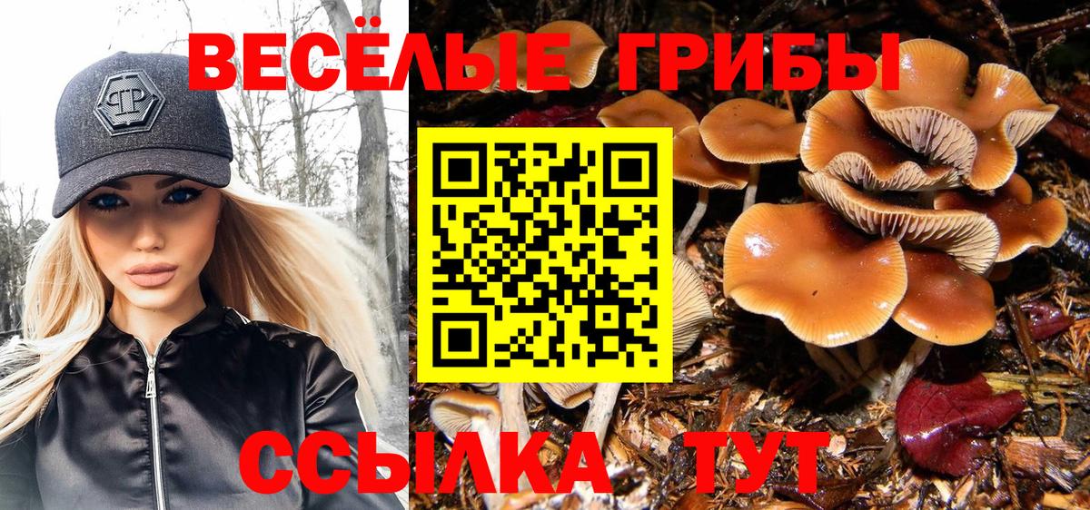 купить наркоту  Вход с VPN  Урюпинск  Галлюциногенные грибы мицелий 